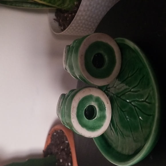 Adorable Frog Salt and Pepper Shakers - Picture 4 of 4